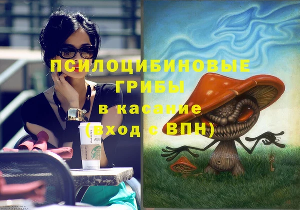 COCAINE Каменка