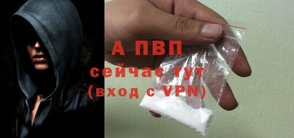PSILOCYBIN Каменск-Шахтинский