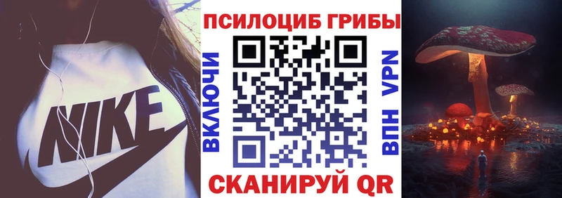 Купить где  Вичуга  Псилоцибиновые грибы Cubensis 